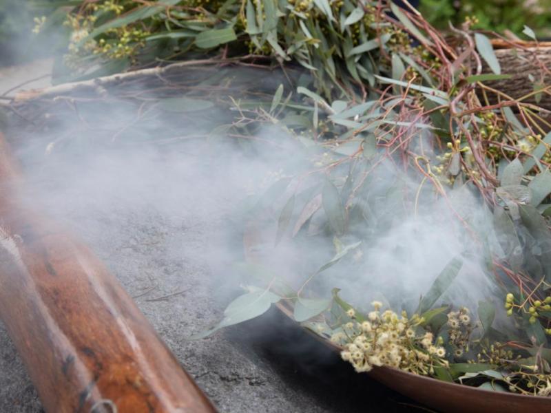 Smoking bushes in ceremony