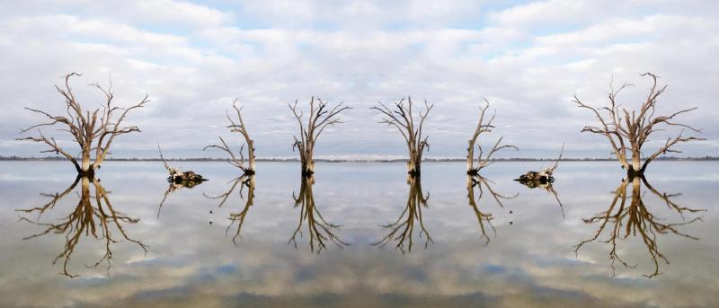Water reflecting trees over flooded plain